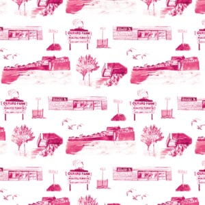 Marshfield_Pink