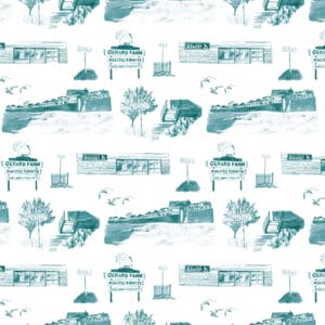 Marshfield_Teal