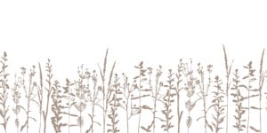 P2216a6