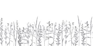 P2216a7