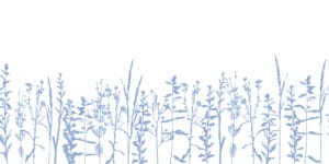 P2216a8