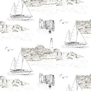 Maine_Black-White