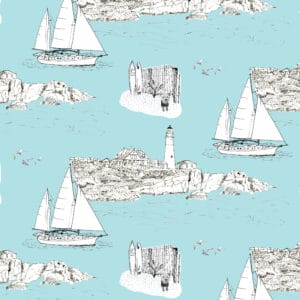 Maine_BlueBackground